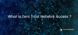 What is Zero Trust Network Access (ZTNA) ?  How does Zero Trust Network Access Work? 