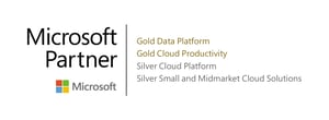 Microsoft Gold Partner Competencies