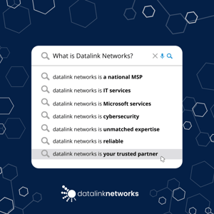 Google Search What is Datalink Networks (1)